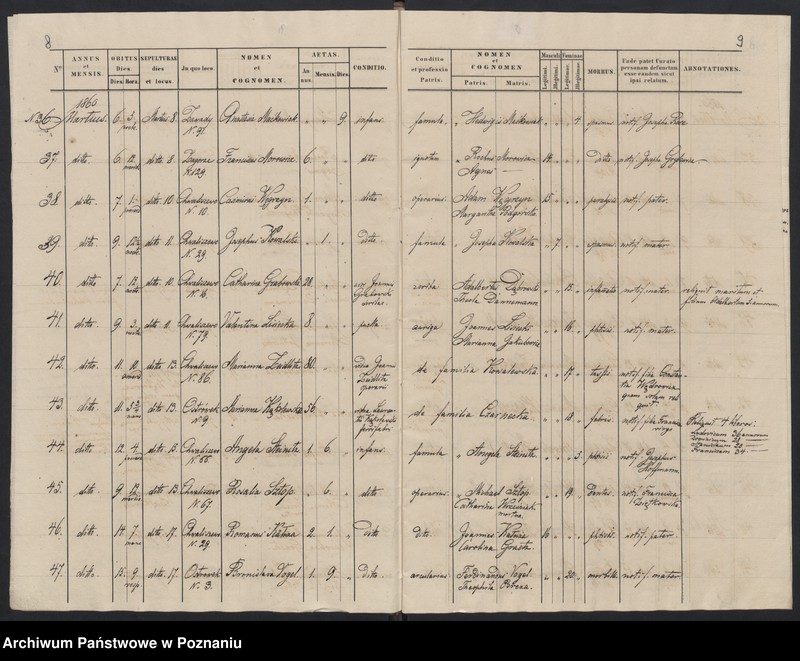 Obraz 7 z jednostki "Księga zgonów"