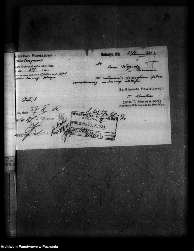 image.from.unit.number "Majętność leśna Dobrzyca powiat krotoszyński"