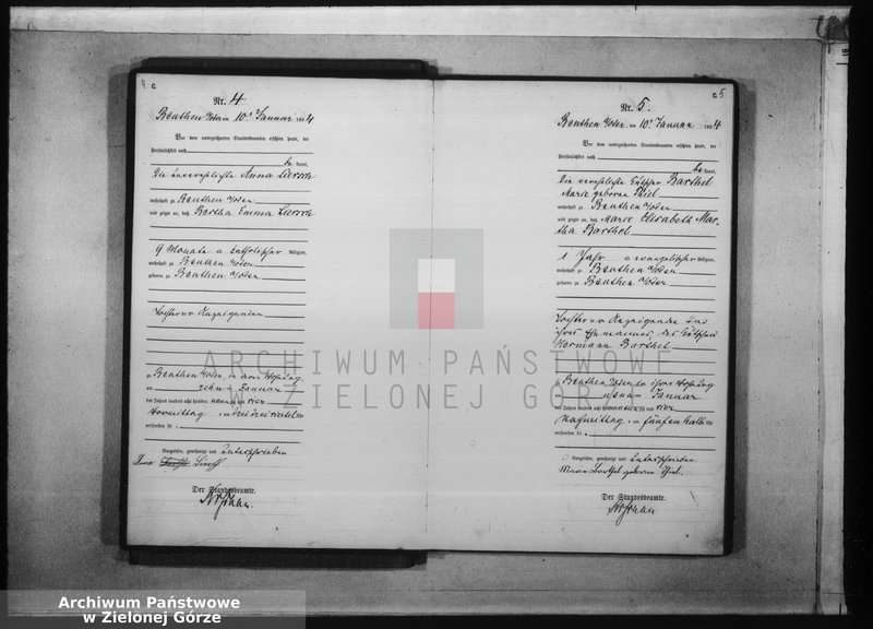 Obraz 7 z jednostki "[Księga aktów zgonów rok 1894 od nr 1 do nr 124]"