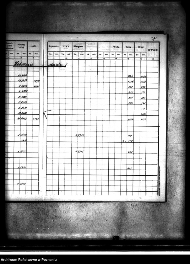 Obraz 12 z jednostki "Rejestr pomiarowy majątku Kaliska powiatu konińskiego"