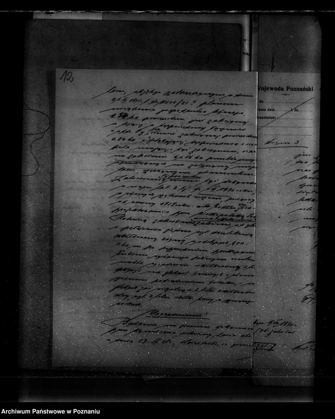 Obraz 18 z jednostki "Majętność leśna Czesławice powiat wągrowiecki własność Koerner"