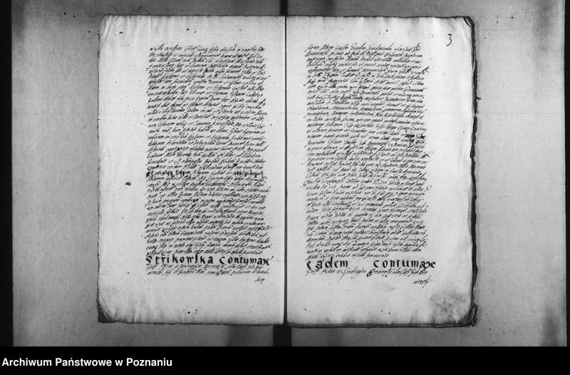 Obraz 6 z jednostki "Decreta [inducta]"