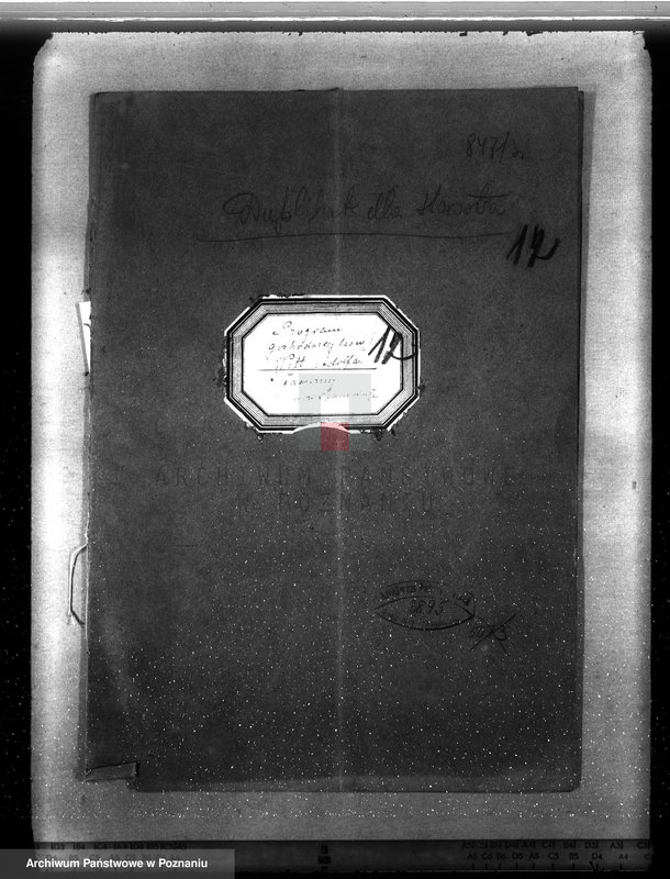 Obraz 4 z jednostki "Program gospodarczy dla lasu Adolfa Witta w gminie Jasionna powiat szamotulski"