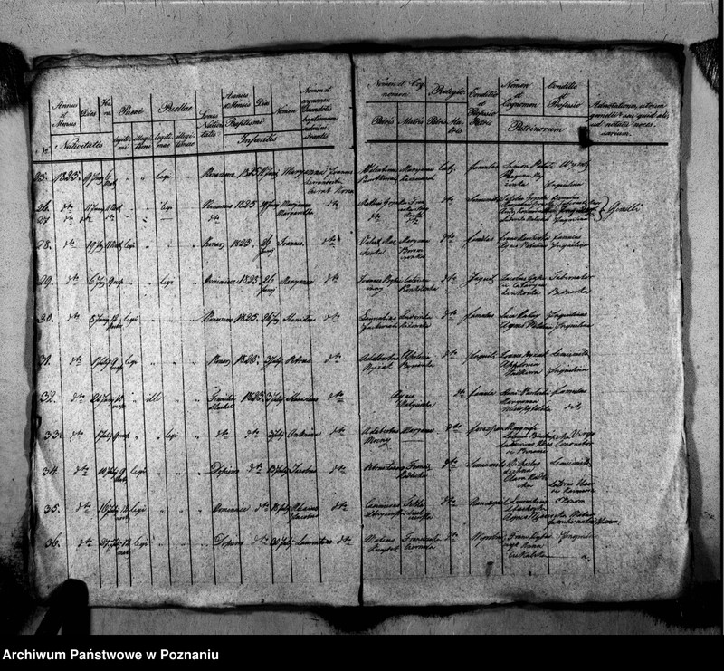 Obraz 6 z jednostki "Liber baptisatorum, copulatorum, mortuorum"