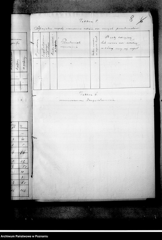 Obraz 12 z jednostki "Prywatna Szkoła Powszechna "Jesodej Hatora" z polskim językiem nauczania w Błaszkach"