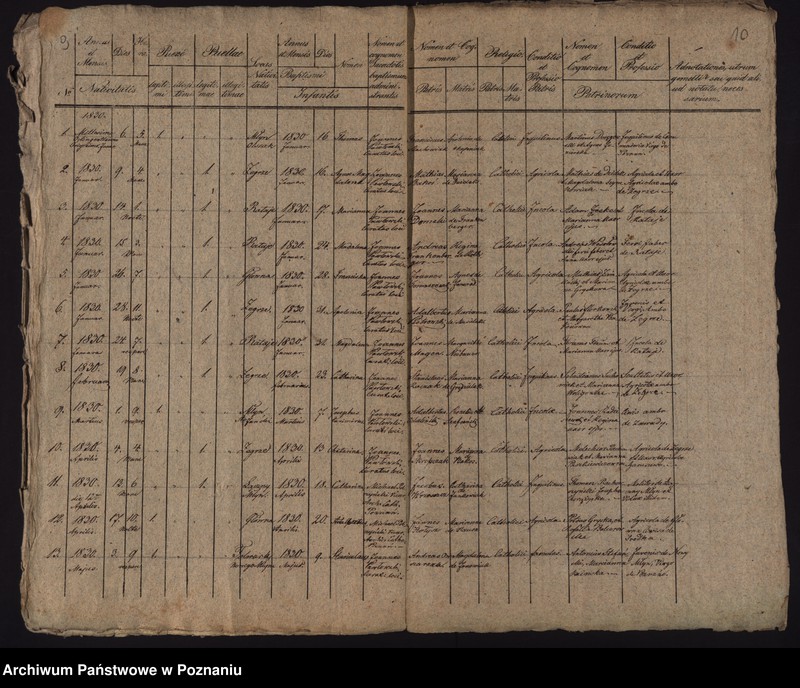 Obraz 8 z jednostki "Księga urodzeń, małżeństw i zgonów"