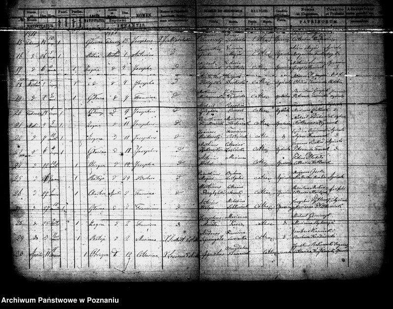 Obraz 3 z jednostki "Księga urodzeń"