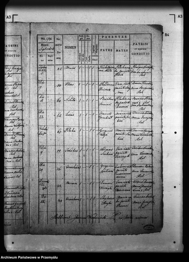 image.from.unit.number "[Kopie ksiąg metrykalnych parafii Wola Niżna z filią Wola Wyżna (dekanat Rymanów)]"