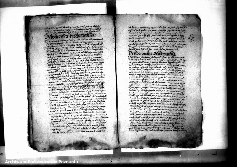 Obraz 19 z jednostki "Decreta officii [inducta]"