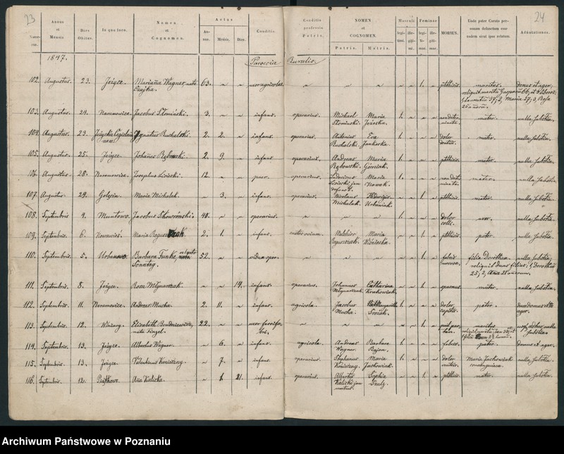 Obraz 14 z jednostki "Księga zgonów"