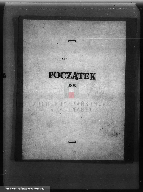 Obraz 3 z jednostki "/Majętność leśna Wąsowo w powiecie nowotomyskim/"