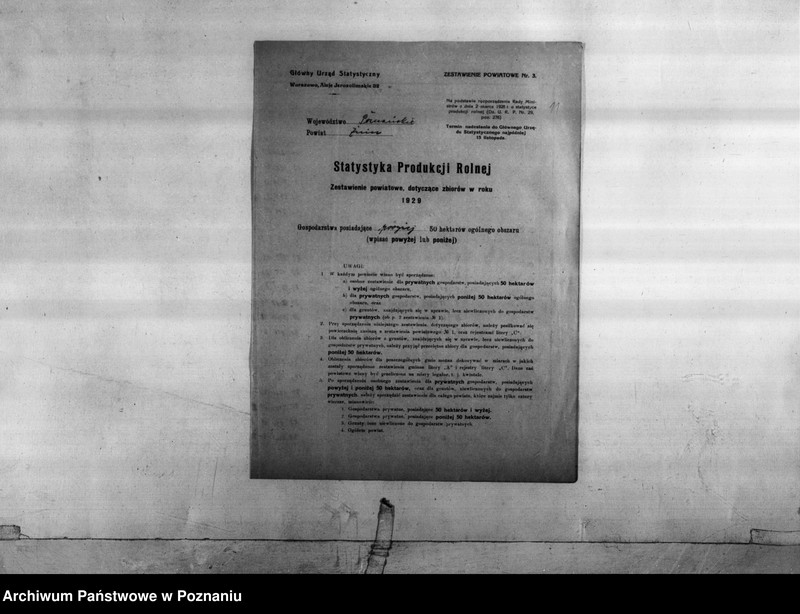 Obraz 12 z jednostki "Statystyka produkcji rolnej - zestawienie z powiatu żnińskiego"