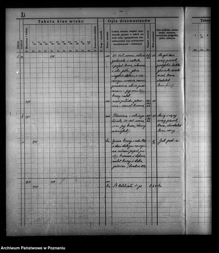 Obraz 6 z jednostki "Program urządzenia gospodarstwa leśnego dla lasu majątku Borowy-Młyn w powiecie międzychodzkim/"
