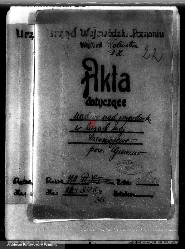 Obraz 4 z jednostki "Nadzór nad gospodarką w lasach majątku Czerniejewo powiecie gnieźnieńskim"