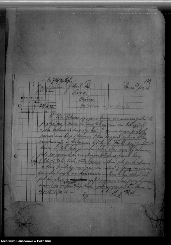 Obraz 15 z jednostki "/Majętność leśna/ Ossowiec/ powiat mogileński"