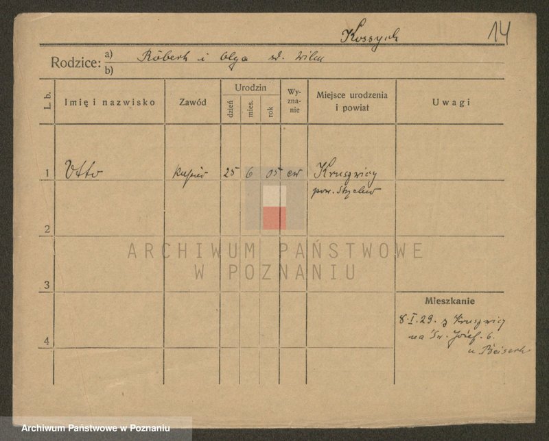 Obraz 14 z jednostki "Kosubucki - Kotas"