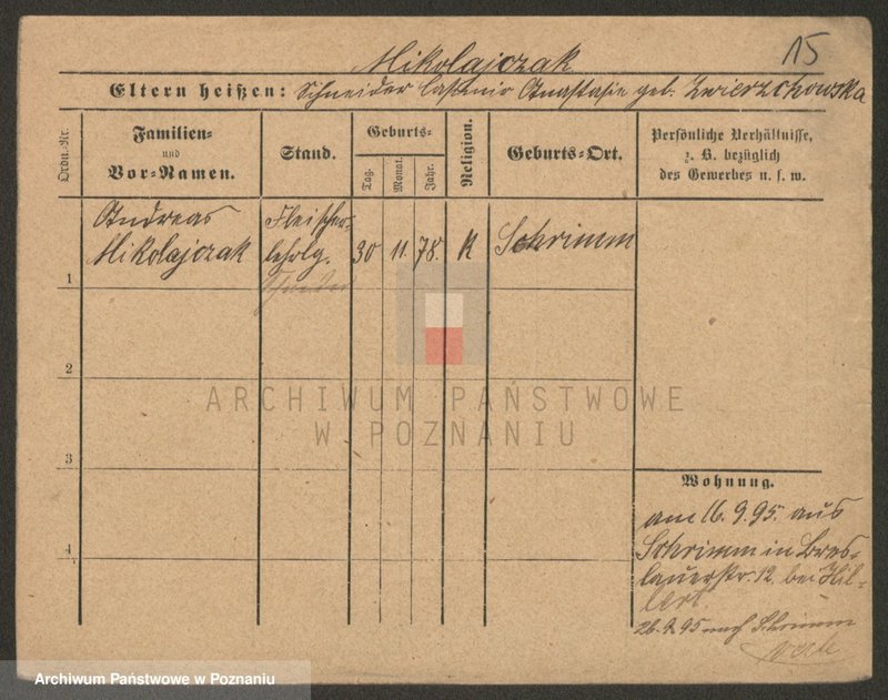 Obraz 17 z jednostki "Mikołajczak (żonaci i wdowy)"