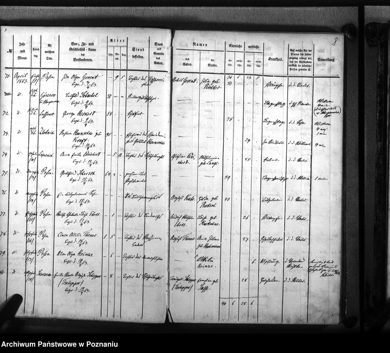 Obraz 7 z jednostki "Sterbenbuch"