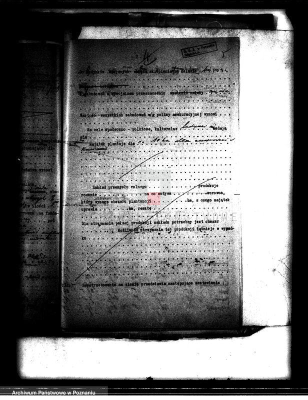 image.from.unit.number "Gospodarstwo wzorowe Radomierz powiatu wolsztyńskiego"