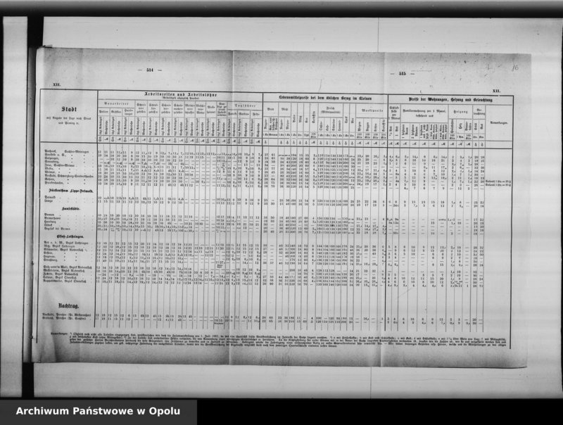 Obraz 19 z jednostki "Acta des Magistrats zu Oppeln betreffend Polizei Verwaltung"