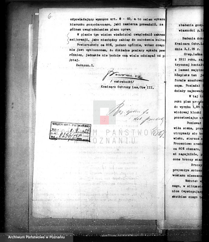 Obraz 11 z jednostki "Nadzór nad gospodarką leśną w lasach majętności Stajkowo powiecie czarnkowskim"