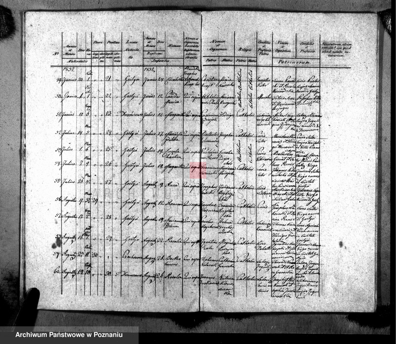 Obraz 8 z jednostki "Liber baptisatorum, copulatorum, mortuorum"