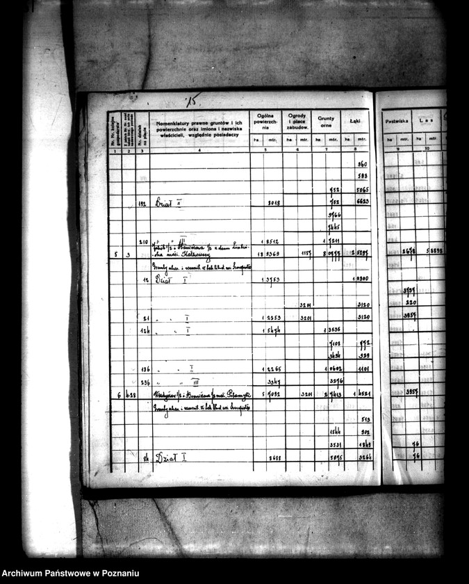 Obraz 19 z jednostki "Rejestr pomiarowy wsi Szczepidło powiatu konińskiego"