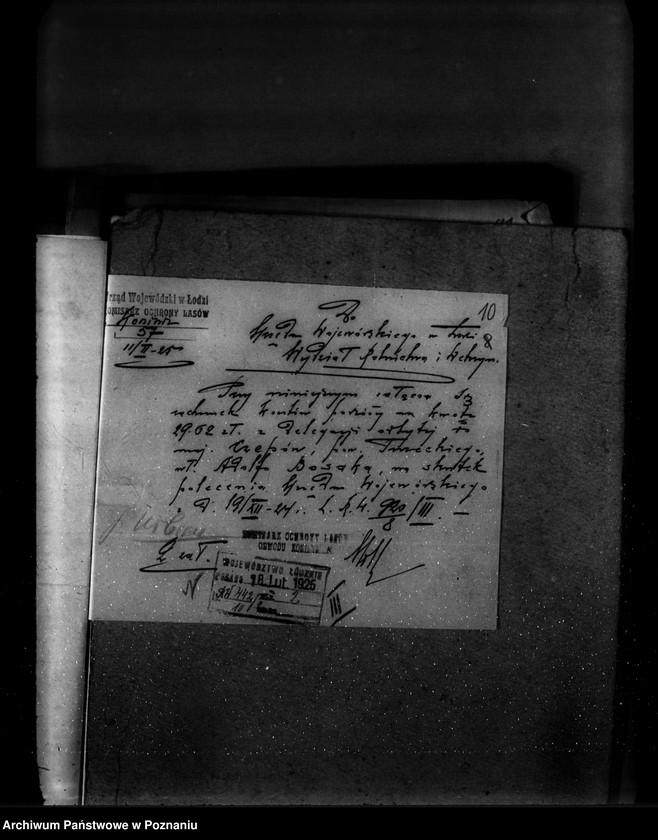 Obraz 15 z jednostki "Sprawa zatwierdzenia projektu planu gospodarstwa leśnego dla lasu majątku Czepów-Dolny powiat turecki"