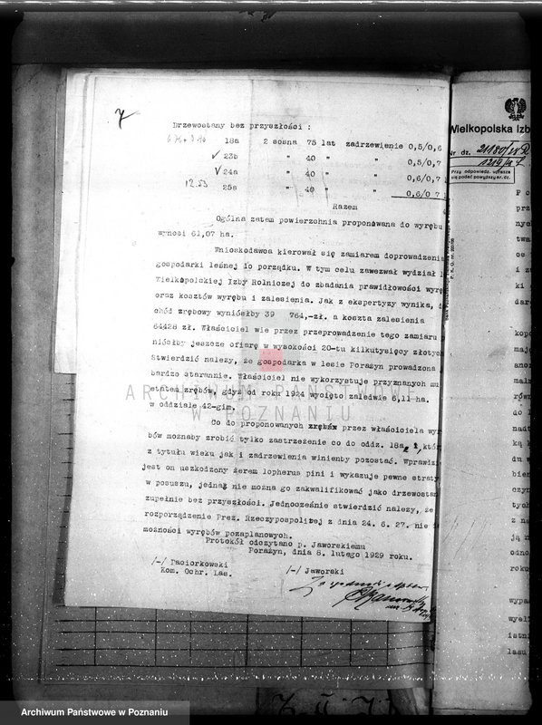 Obraz 11 z jednostki "Majętność leśna Porażyn w powiecie nowotomyskim"