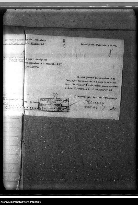 Obraz 12 z jednostki "Zalesienie nieużytków w powiecie gostyńskim"