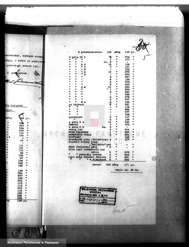 Obraz 9 z jednostki "Majętność leśna Drzeczkowo powiat leszczyński"