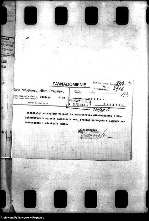 Obraz 17 z jednostki "Konie wojskowe dla ludności cywilnej"