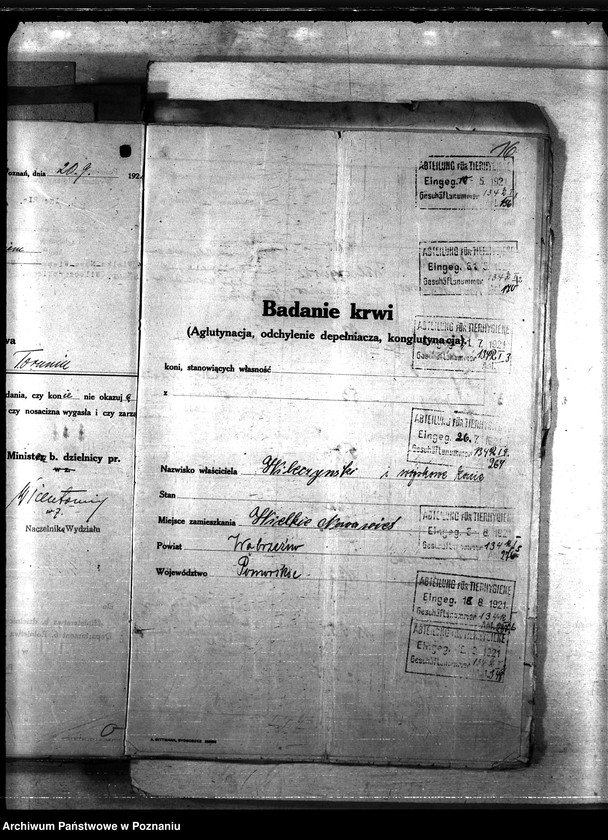 Obraz 20 z jednostki "Nosacizna - Wąbrzeźno"