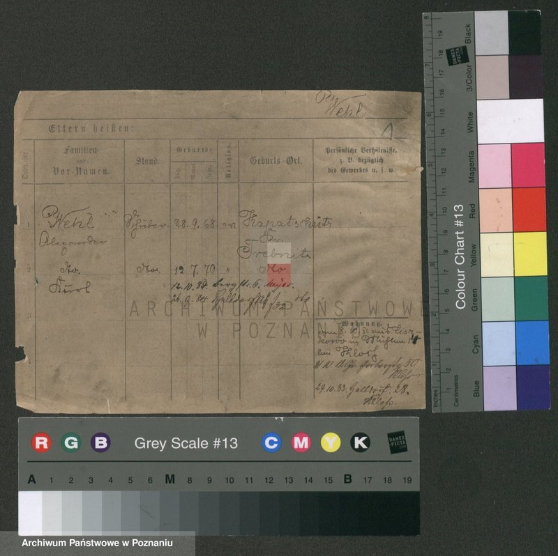 Obraz 5 z jednostki "Wel - Wencek"