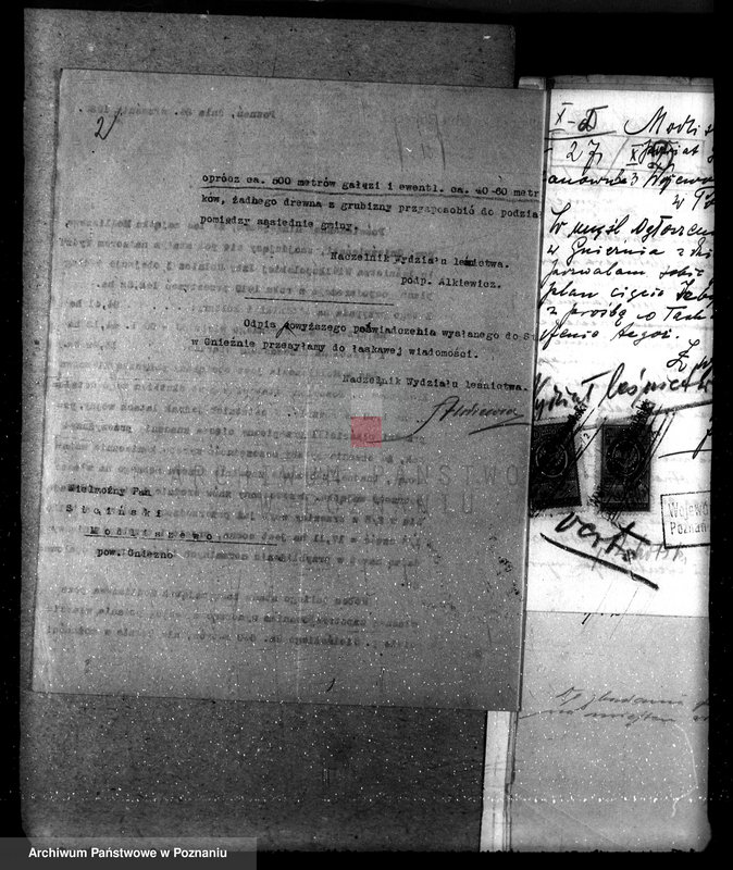 Obraz 6 z jednostki "Nadzór nad gospodarką w lasach majętności Modliszewo powiecie gnieźnieńskim"