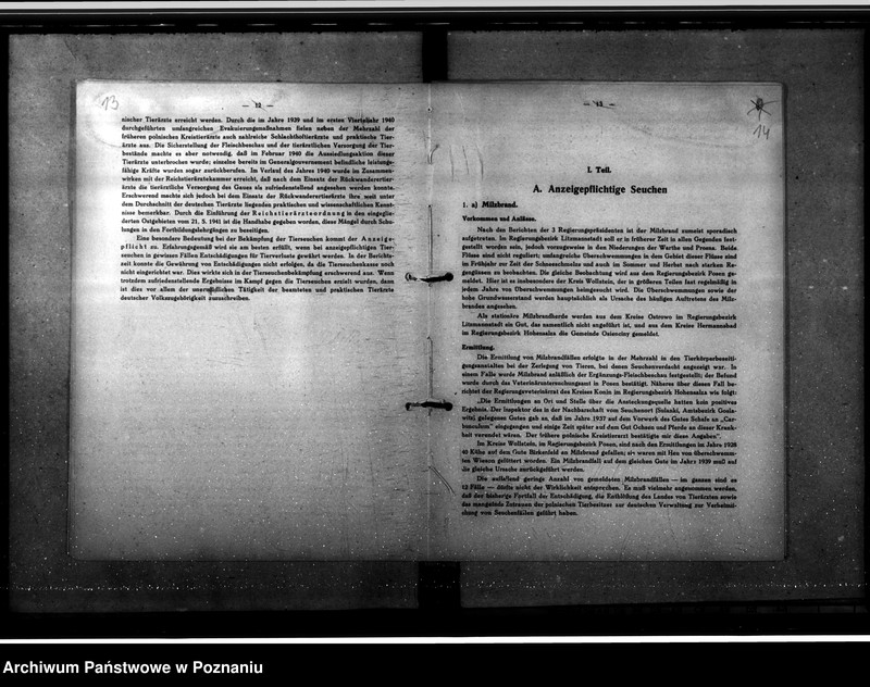 Obraz 14 z jednostki "Jahresveterinärberichte"