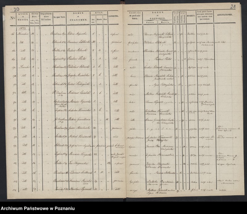 Obraz 13 z jednostki "Księga zgonów"