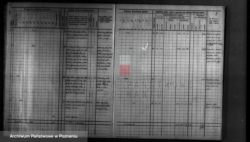image.from.unit.number "Plan urządzenia gospodarstwa leśnego dla lasu majątku Lubosz powiatu międzychodzkiego 1936-1946"