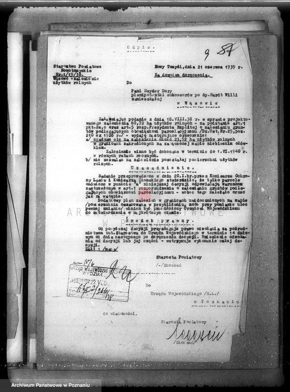 Obraz 14 z jednostki "/Majętność leśna Wąsowo w powiecie nowotomyskim/"