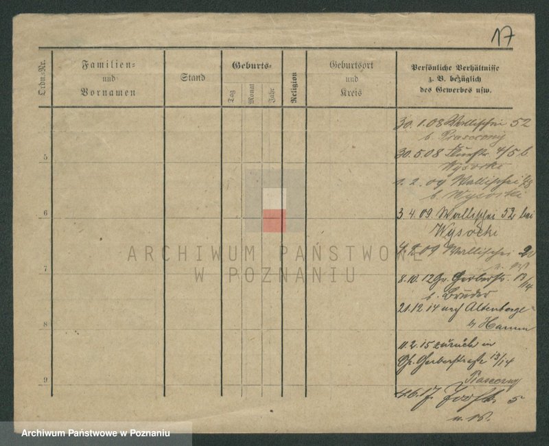 Obraz 19 z jednostki "Piaseczny - Piątkowiak"