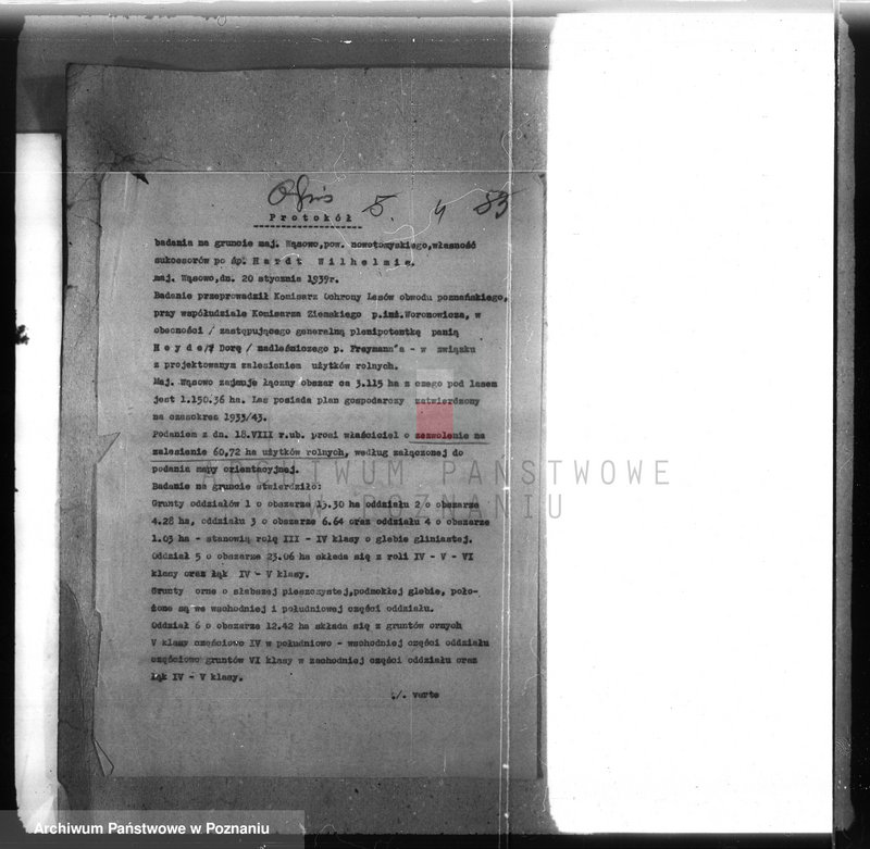 Obraz 8 z jednostki "/Majętność leśna Wąsowo w powiecie nowotomyskim/"