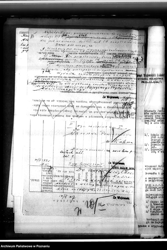 Obraz 19 z jednostki "Gmina Chocz w powiecie kaliskim /nadzór nad gospodarką leśną/"