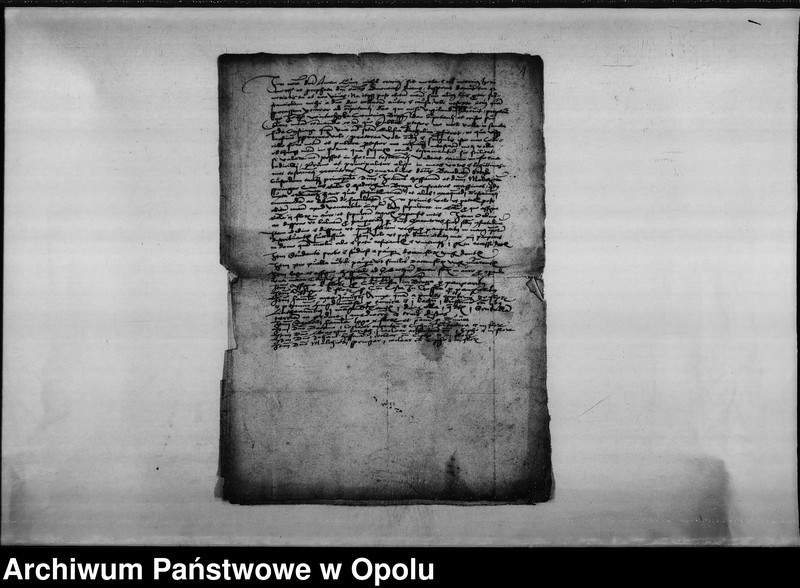 image.from.unit "Testament Johanna Winterhoeke, kanonika kolegiaty św. Jadwigi w Brzegu."