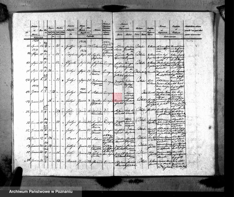 image.from.unit.number "Liber baptisatorum, copulatorum, mortuorum"