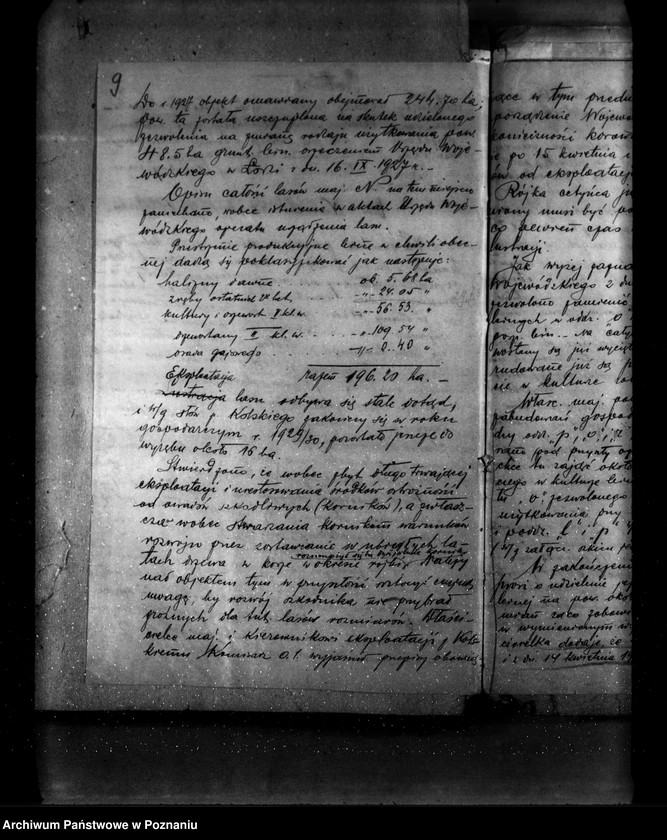 Obraz 13 z jednostki "Las majątku Napoleonów nr 1 własność Eweliny Wisłockiej powiat turecki"