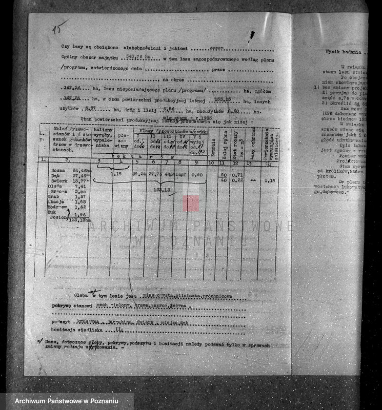 Obraz 19 z jednostki "Majętność leśna Godurowo w powiecie gostyńskim"