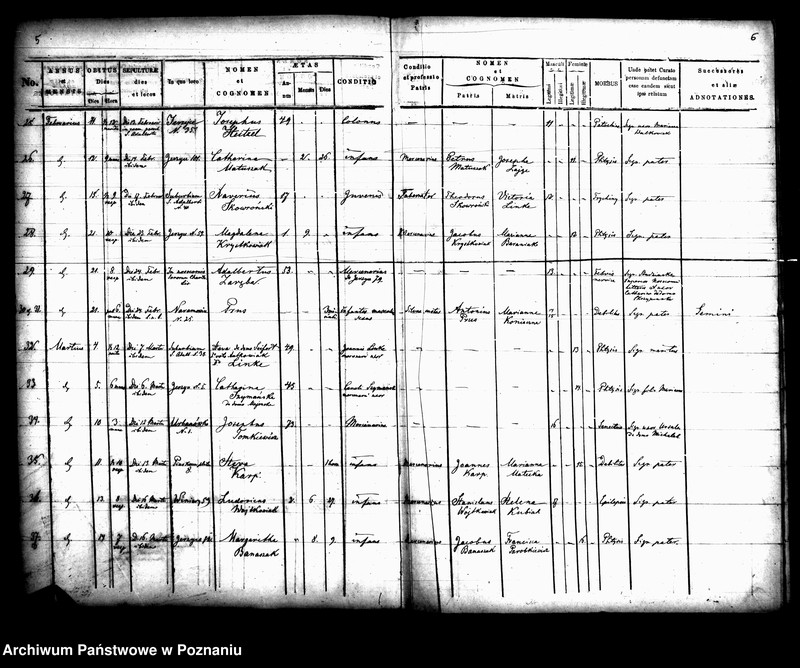 Obraz 5 z jednostki "Księga zgonów"