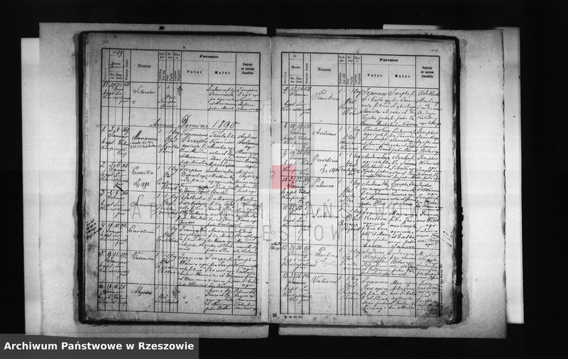 image.from.unit.number "Księga urodzeń - Kąkolówka"