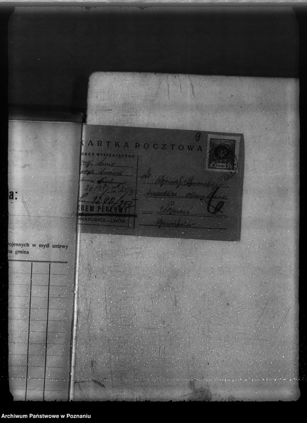 Obraz 13 z jednostki "Majętność leśna Linie w powiecie nowotomyskim"