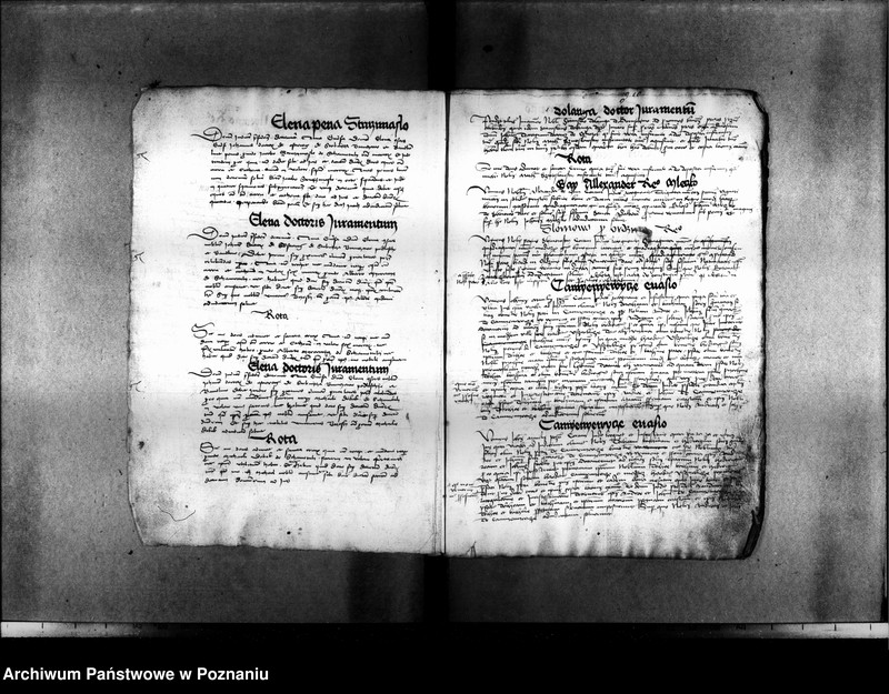 Obraz 19 z jednostki "Resignationes ,inscriptiones, relationes, decreta [protocollon]"